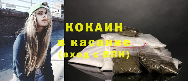 гидра Арсеньев