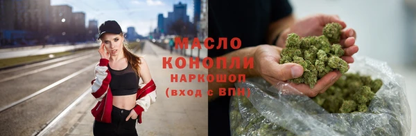 индика Аркадак