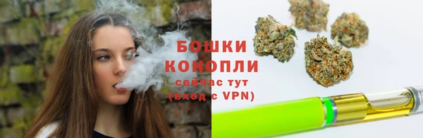 индика Аркадак