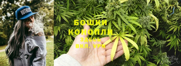 индика Аркадак