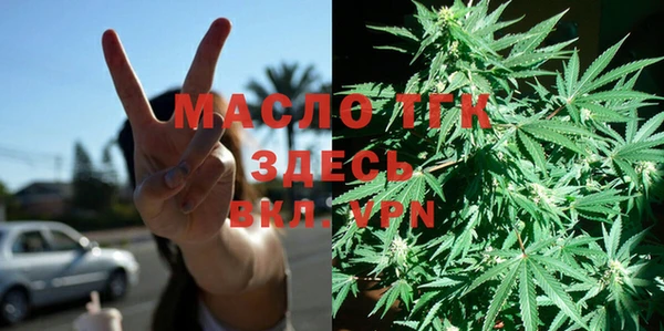 индика Аркадак