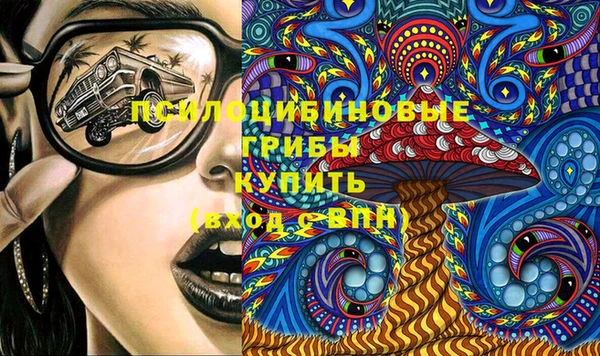 гидра Арсеньев