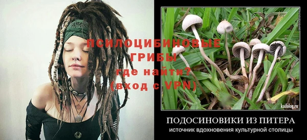 apvp Армянск